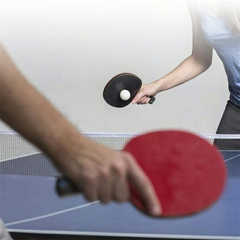 Portable Table Tennis Net Poly - đánh giá và giá Table Tennis Barrier